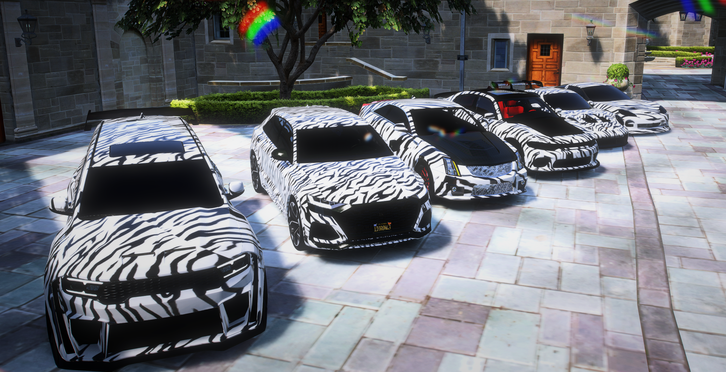 Tiger Stripe Pack